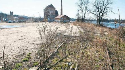 Rechts oder links? Die Stadtverwaltung will den Uferweg landseitig an den Wohnhäusern vorbei durch die Speicherstadt führen, die Linke plant einen neuen Vorstoß, um den Weg direkt am Wasser entlang durchzusetzen.
