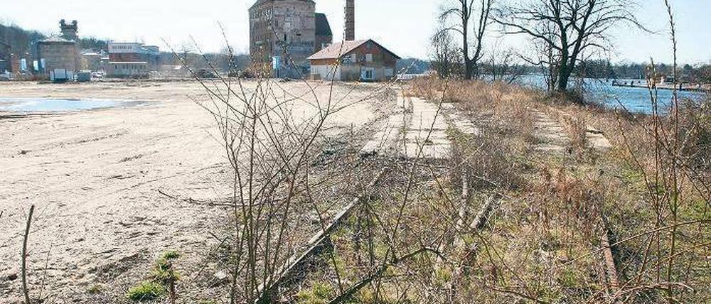 Rechts oder links? Die Stadtverwaltung will den Uferweg landseitig an den Wohnhäusern vorbei durch die Speicherstadt führen, die Linke plant einen neuen Vorstoß, um den Weg direkt am Wasser entlang durchzusetzen.
