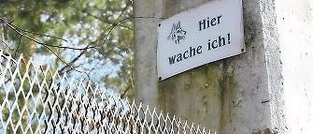 Die Wachhunde auf dem Sago-Gelände könnten bald Gesellschaft bekommen.