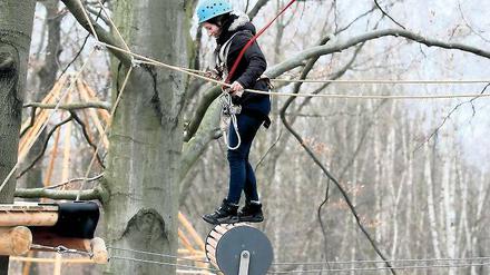 Balanceakt zwischen Baumkronen. Der Abenteuerpark am Telegrafenberg startet in die Saison – neu ist ein „Spezialistenparcours“ samt drehender Tonne.