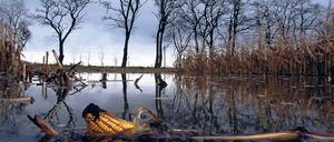 Bedrohtes Oderbruch.