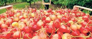 Auf die Erträge kommt es an.