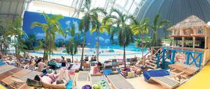 Nach polnischem Geschmack. Das künstliche Tropenparadies Tropical Island in Brand zieht immer mehr polnische Gäste an. Aber auch andere Tourismusanbieter im Land Brandenburg spüren ein deutlich gestiegenes Interesse der östlichen Nachbarn. Gegenüber 2006 stieg die Zahl der Übernachtungen polnischer Touristen um knapp 94 Prozent.