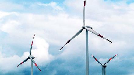 Vielfalt der Energiequellen erwünscht: In der Gemeinde Schwielowsee wird jetzt auch über den Bau von Bürger-Windrädern diskutiert. Geeignete Standorte soll es geben.