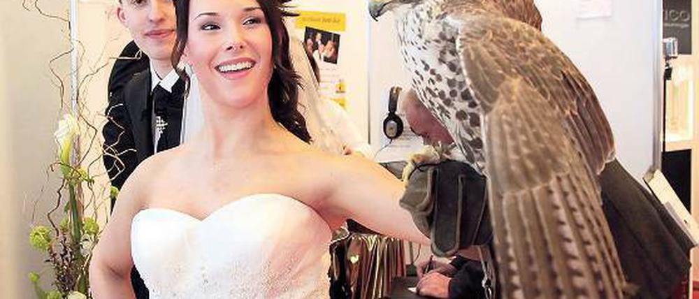 Falke als Ringbote. Model Julia zeigte auf der Hochzeits- und Babymesse wie es aussieht, wenn Falke Kira landet.