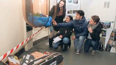 Anschauungsunterricht. Schüler der Goethe-Gesamtschule im Stadthaus.