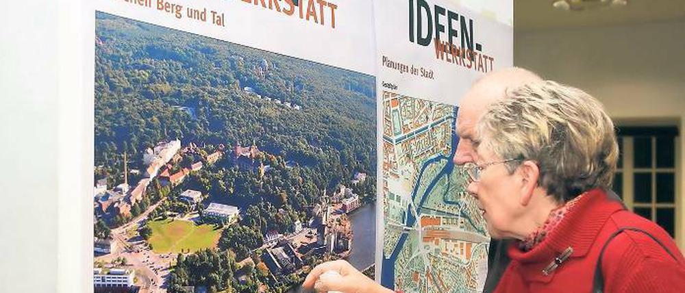 Viel Natur. Einst war der Brauhausberg ein beliebtes Ausflugsziel. Die Bürgerinitiative plädiert dafür, dass er das wieder wird.