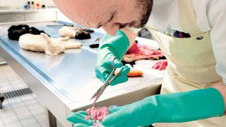 Die Zeit drängt: Mit Hochdruck arbeiten Forscher derzeit an einem Impfstoff gegen das Schmallenbergvirus.