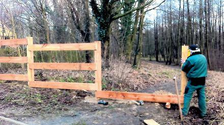 Vernagelt: Anwohner kämpften um jeden Ast, jetzt ist der Wald gesperrt.
