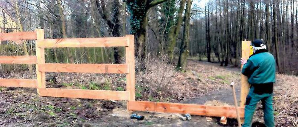 Vernagelt: Anwohner kämpften um jeden Ast, jetzt ist der Wald gesperrt.