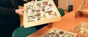 11 000 Insekten in 50 Schaukästen: Prof. Joachim Oehlke überreichte dem Direktor des Naturkundemuseums Detlef Knuth (r.) die Sammlung.