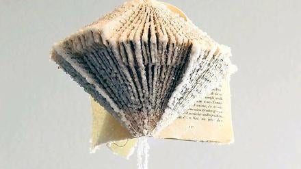 Ein handgroßes Salz-Gewächs. Megumi Fukudas „Crystal – Die Geschichte von der Erschaffung der Welt“, 2011.