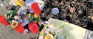 Zeichen des Gedenkens. Mit Kerzen und Blumen haben Potsdamer den Ort markiert, an dem am 23. Dezember ein toter Säugling gefunden wurde. „Warum“ steht auf einem gelben Zettel. Von den Eltern des Kindes fehlt bislang jede Spur. Die Staatsanwaltschaft ermittelt wegen Mordes gegen Unbekannt.