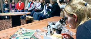 Durchblick. Schmetterlingsflügel werden mit dem Mikroskop untersucht.