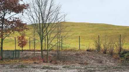 Bietet bislang noch viel Platz für Ideen: Der Stolper Berg in Kleinmachnow. Die ehemalige Mülldeponie gilt nach einer elfjährigen Beobachtungsphase als stabil. Offen ist, wie das Gelände künftig genutzt werden soll.