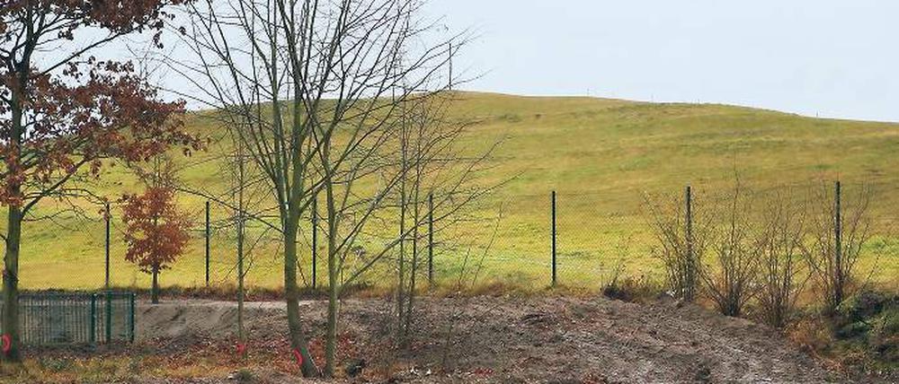 Bietet bislang noch viel Platz für Ideen: Der Stolper Berg in Kleinmachnow. Die ehemalige Mülldeponie gilt nach einer elfjährigen Beobachtungsphase als stabil. Offen ist, wie das Gelände künftig genutzt werden soll.