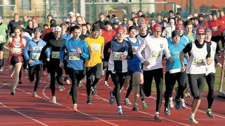 Gut besucht. 260 Läuferinnen und Läufer nahmen an der 15. Auflage des Silvesterlaufs teil. Am Ende hatten Suse Werner und Franz Löschke vom Triathlon Potsdam e.V. auf der 7,1-Kilometer-Strecke die Nase vorn.