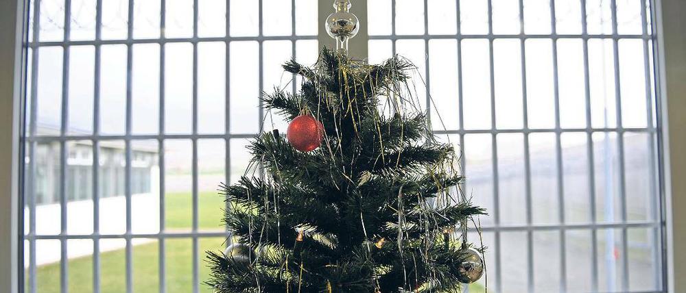 Isoliert zum Fest. Die bleibt etwa 80 Straftätern im Land Brandenburg in diesem Jahr erspart. Sie profitieren von der Weihnachtsamnestie. Für die restlichen mehr als 1300 Häftlinge gibt es Weihnachtsbäume, Geschenke, Festschmaus und Gottesdienste.