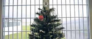 Isoliert zum Fest. Die bleibt etwa 80 Straftätern im Land Brandenburg in diesem Jahr erspart. Sie profitieren von der Weihnachtsamnestie. Für die restlichen mehr als 1300 Häftlinge gibt es Weihnachtsbäume, Geschenke, Festschmaus und Gottesdienste.