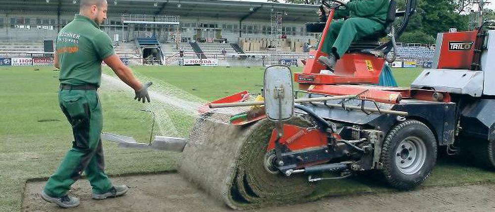 Neuer Rasen. Auch das „Karli“ wurde mit Bundesmitteln saniert.