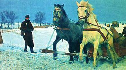 Im ostpreußischen Winter auf der Flucht.