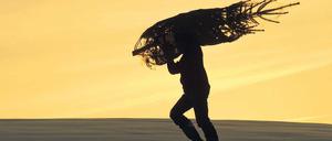 Auf Beutezug. Sogar mit einer Motorsäge rücken manche an, doch das sehen Förster nicht gern, weil bei ihrem Kreischen jede Glühweinromantik beendet ist. Und Spaß soll der Ausflug mit der Familie ja auch machen.