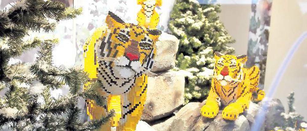 Tigerfamilie aus 28 500 Legosteinen im Schaufenster des Stadtpalais.