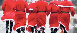 Im Vorjahr waren etwa 600 Läufer in Michendorf am Start.