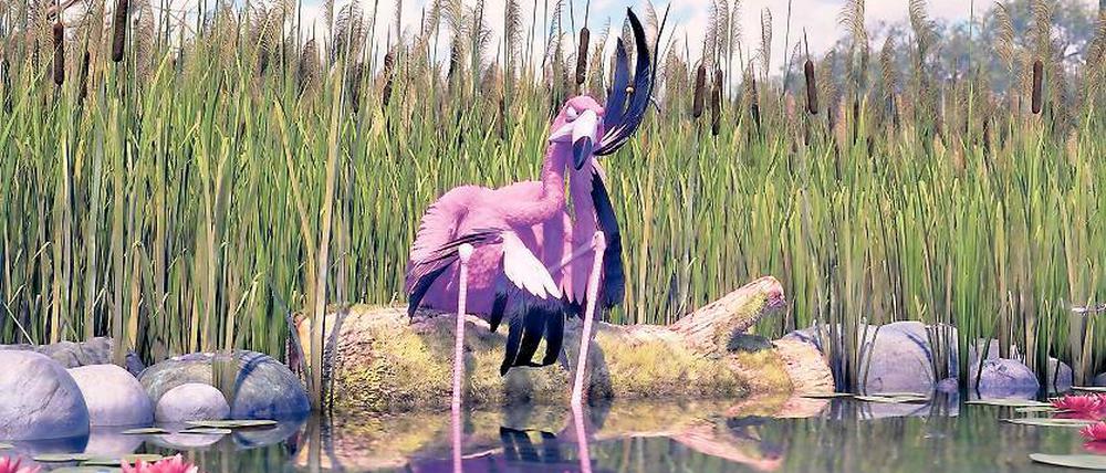 Internationales Aushängeschild. Mit Filmen wie „Flamingo Road“ sorgt die Potsdamer Filmhochschule weltweit für Aufsehen.