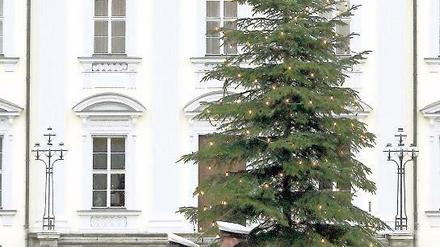 Werbung für Werder: Am 25. November werden die Lichter angeknipst.