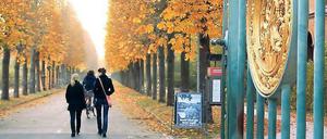 Bei Eintritt zahlen? Die Schlösserstiftung hat zu wenig Geld für die Parkpflege, darum sollen Sanssouci-Besucher ab 2013 Eintritt zahlen. Auch gegen den neuen Vorstoß dürfte es massiven Widerstand geben – der Stiftungsrat muss entscheiden.