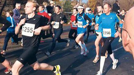 Startschuss. 800 Läufer nahmen am Teltowkanallauf teil.