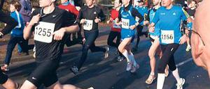 Startschuss. 800 Läufer nahmen am Teltowkanallauf teil.