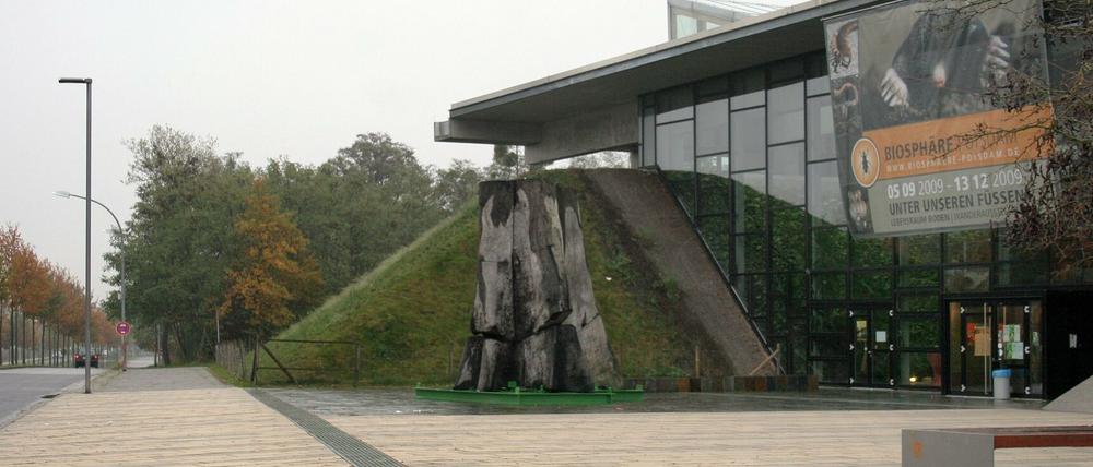 Gleich neben der Biosphäre soll das neue Potsdamer Freizeitbad entstehen.