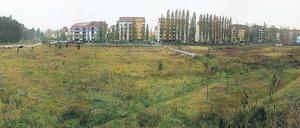 Verwildert. Seit Jahren liegen die Gewerbeflächen im Kirchsteigfeld brach. Um das zu ändern, will der Investor auch Wald nutzen. Die Bürgerinitiative lehnt das aber ab.