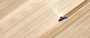 Je größer, desto besser? In Brüssel werden die Lobbyisten der Agrarindustrie und ihre Unterstützer vor allem aus der ostdeutschen Landwirtschaft vorstellig, wo die alten sozialistischen Großstrukturen noch immer bestimmend sind.