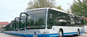 Vor dem Einsatz: Die elf neuen Busse der Havelbus-Gesellschaft sind barrierefrei, neuerdings dürfen auch Fahrräder mitgenommen werden. Nur Dieselkraftstoff verbrauchen sie immer noch.