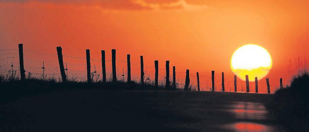 Überschätzte Wirkung. Der Einfluss von Schwankungen der Sonnenaktivität wird nach Ansicht von Klimaforschern überschätzt. Die Auswirkung der Sonnenaktivität auf das Klima sei vergleichsweise gering, sagen sie.