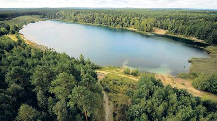 Der Felixsee. Der Landkreis Spree-Neisse plant, den Geopark Muskauer Faltenbogen inklusive See attraktiver zu gestalten und das Gebiet touristisch weiter auszubauen.