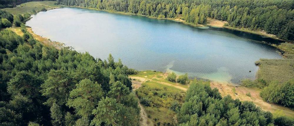 Der Felixsee. Der Landkreis Spree-Neisse plant, den Geopark Muskauer Faltenbogen inklusive See attraktiver zu gestalten und das Gebiet touristisch weiter auszubauen.