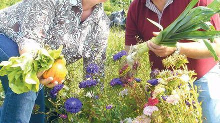 Reiche Ernte: Familie Granzow zieht Werder dem Supermarkt vor.