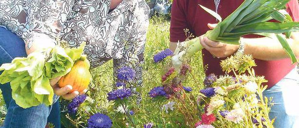 Reiche Ernte: Familie Granzow zieht Werder dem Supermarkt vor.