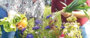 Reiche Ernte: Familie Granzow zieht Werder dem Supermarkt vor.