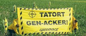 Rot-Rot sagt jein. Die Gentechnik stößt bei vielen Bauern und Umweltschützern auf Ablehnung. Auch Brandenburgs Landesregierung will keinen Genpflanzen-Anbau – allerdings nur in der Landwirtschaft. Die Wissenschaft soll auch im Freiland forschen dürfen.