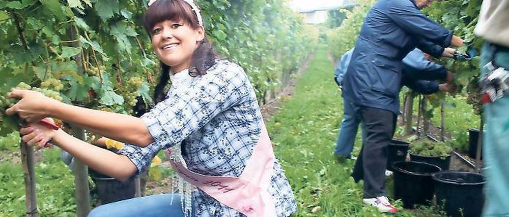 Baumblütenkönigin Victoria Tremel an ihrer eigenen Rebe.
