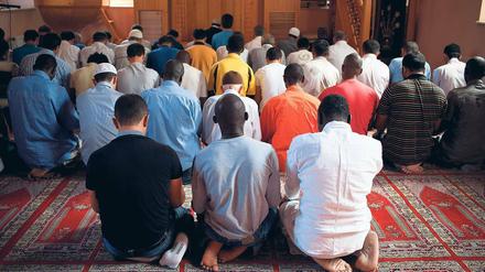 Seite an Seite. In der Katip-Kasim-Moschee beten Türken und Afrikaner. Die meisten Afrikaner sind illegal in Istanbul.