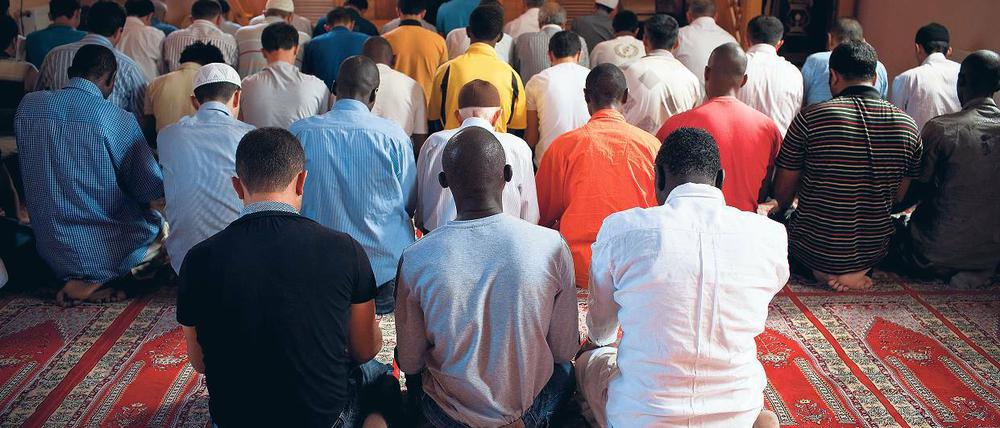 Seite an Seite. In der Katip-Kasim-Moschee beten Türken und Afrikaner. Die meisten Afrikaner sind illegal in Istanbul.