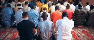 Seite an Seite. In der Katip-Kasim-Moschee beten Türken und Afrikaner. Die meisten Afrikaner sind illegal in Istanbul.