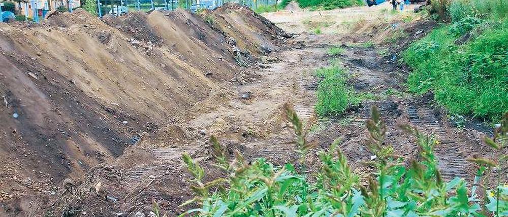 Teure Entsorgung: Belasteter Boden, aufgeschüttet auf dem Baufeld.