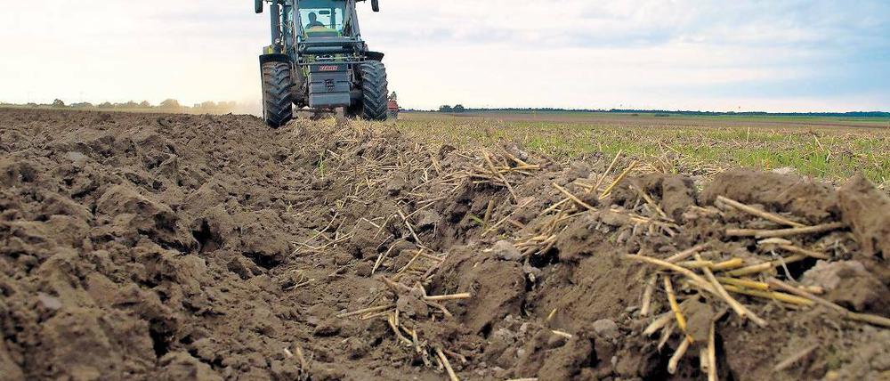 Wertvolles Erbe. Die Menschheit ist drauf und dran ihre Lebensgrundlage, gesunde Böden , zu verschleißen.